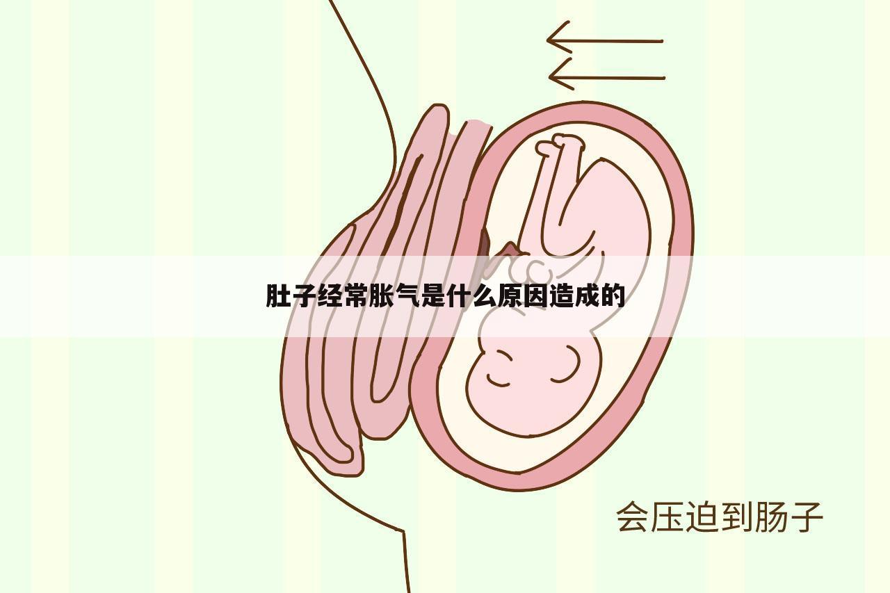 肚子经常胀气是什么原因造成的