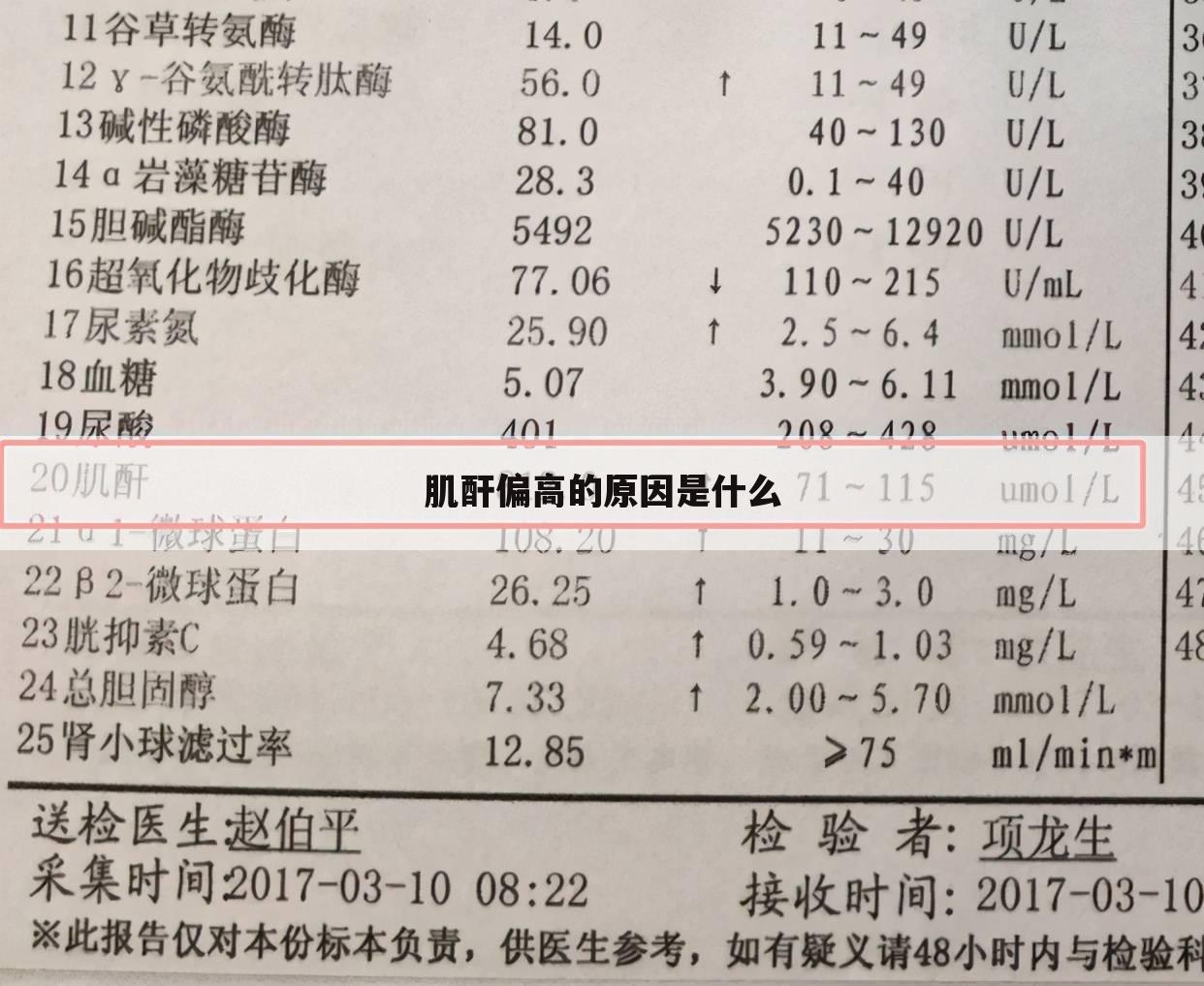 肌酐偏高的原因是什么