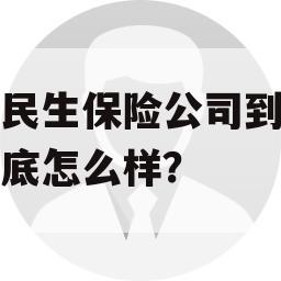 民生保险公司到底怎么样？