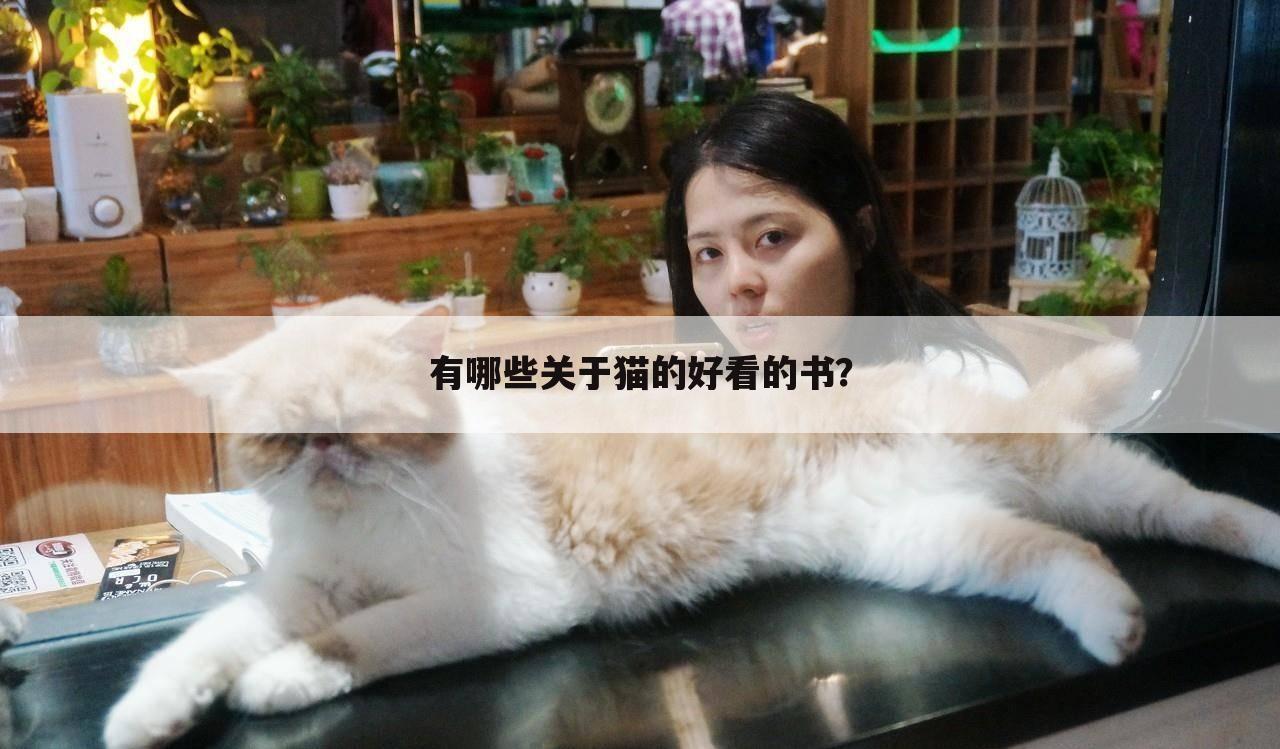 有哪些关于猫的好看的书？