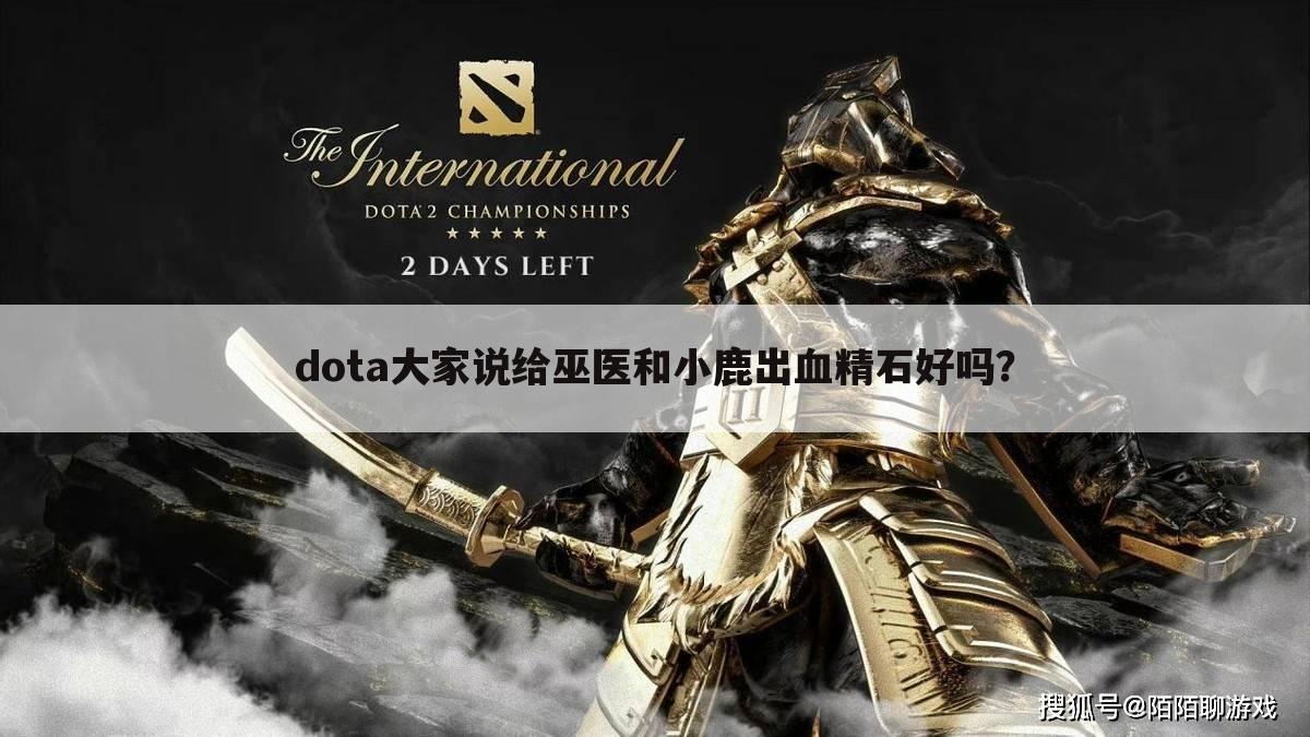 dota大家说给巫医和小鹿出血精石好吗？