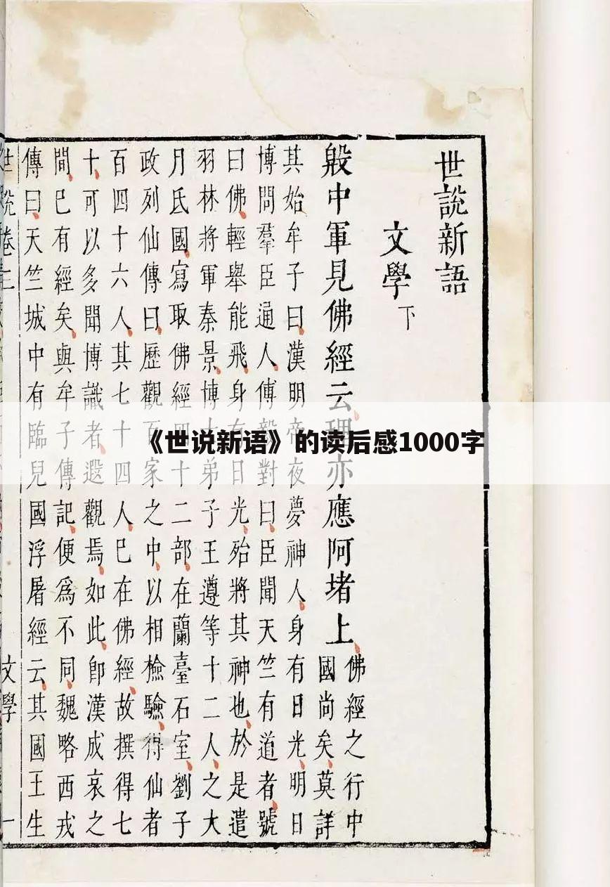 《世说新语》的读后感1000字