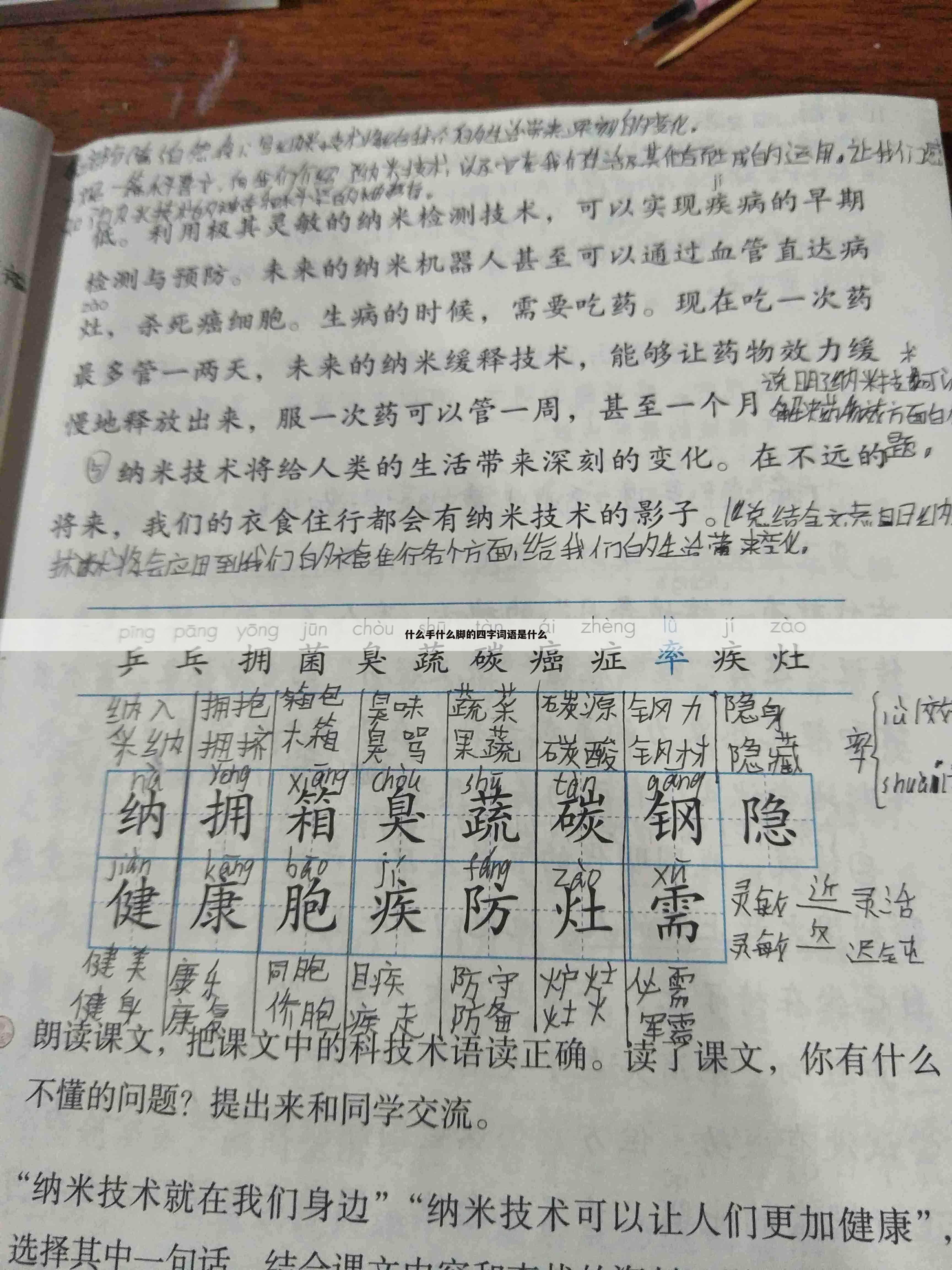 什么手什么脚的四字词语是什么