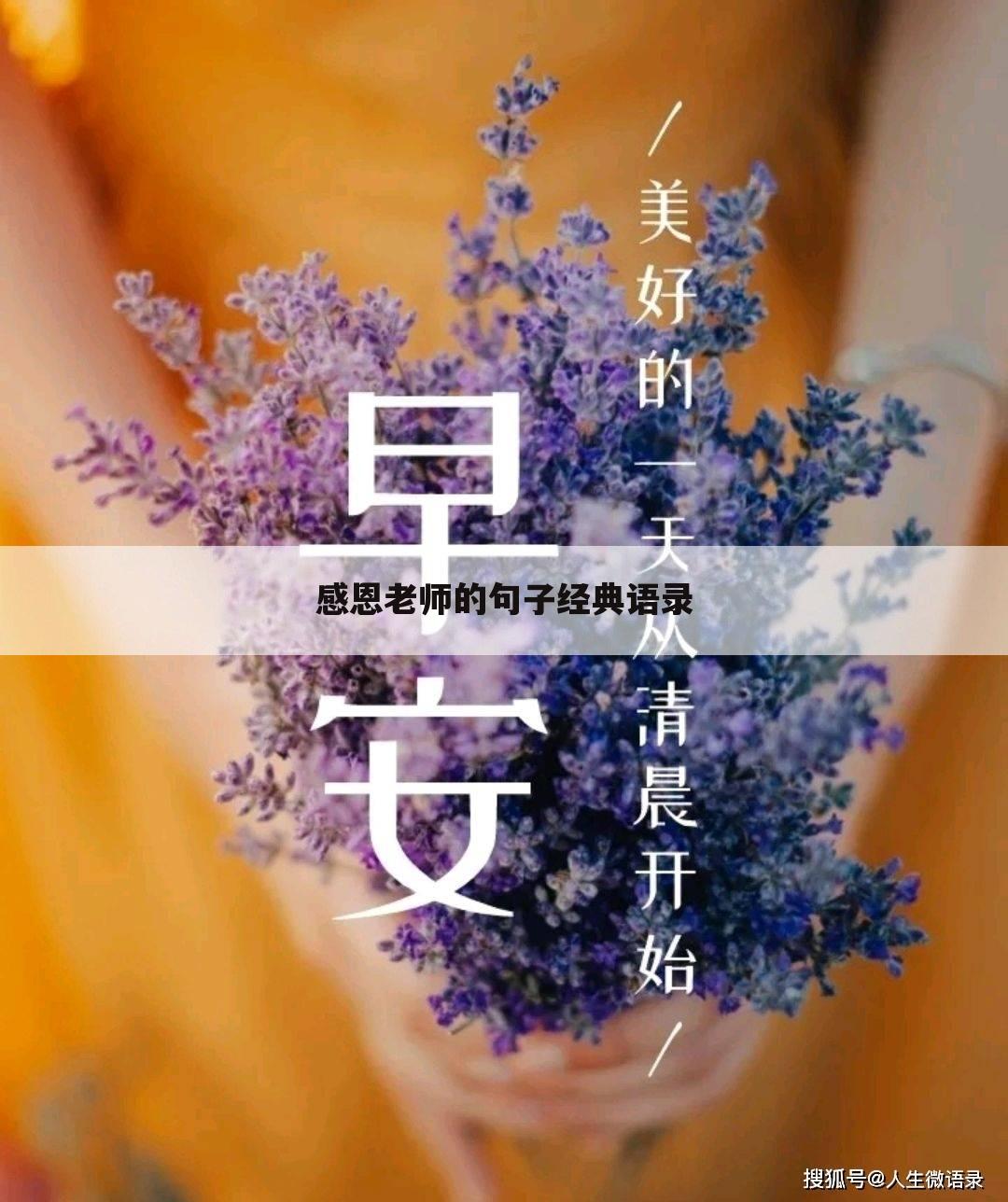 感恩老师的句子经典语录