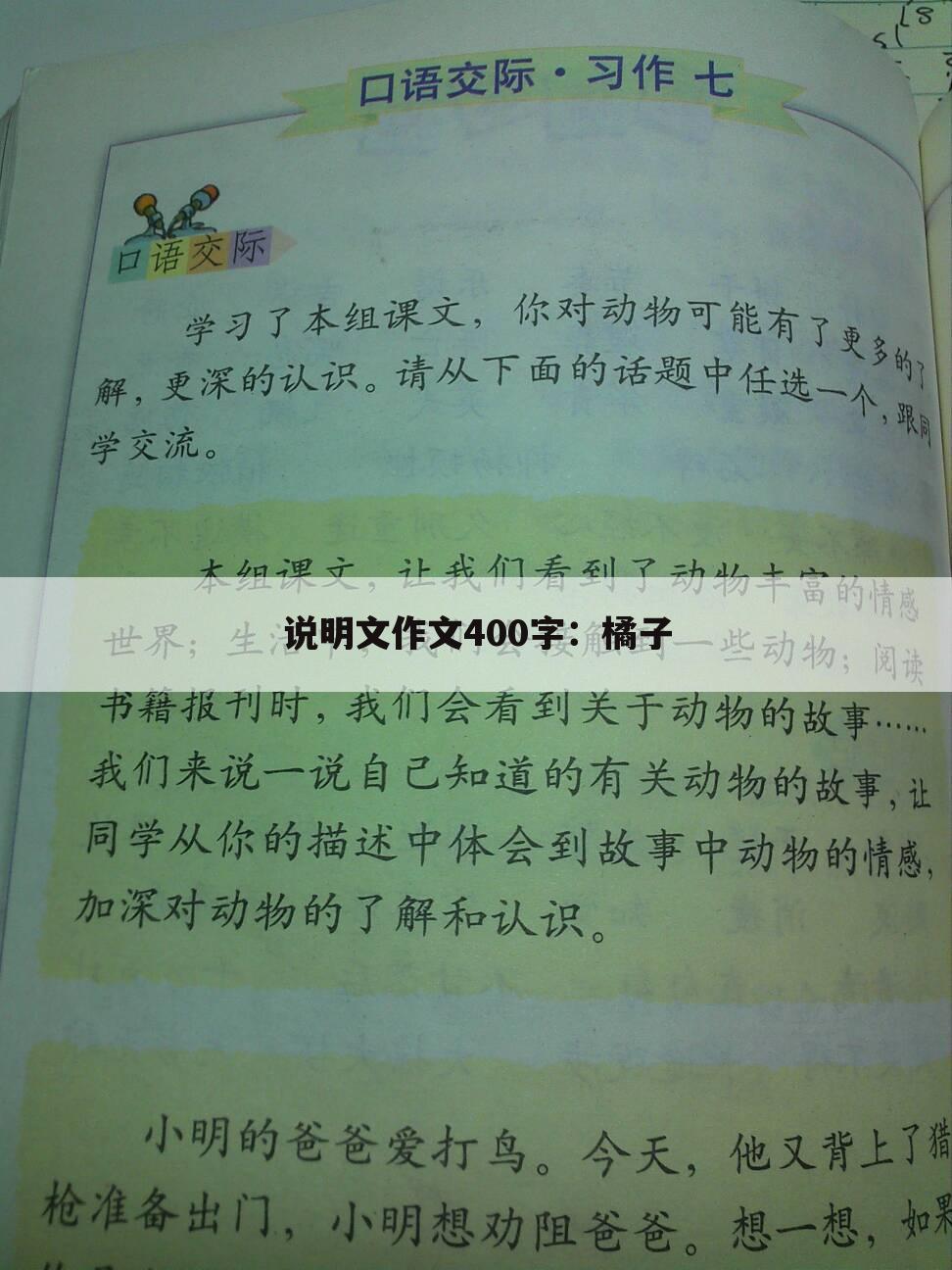 说明文作文400字：橘子