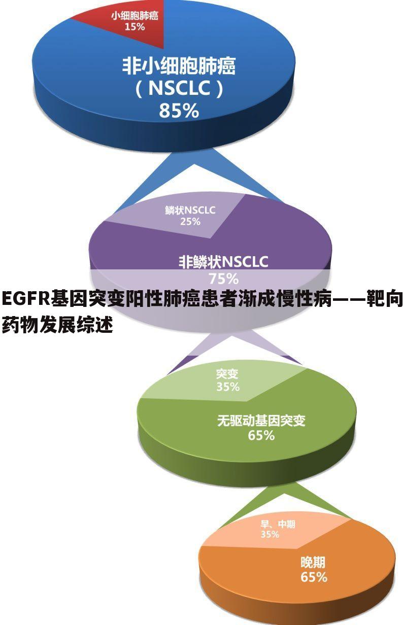 EGFR基因突变阳性肺癌患者渐成慢性病——靶向药物发展综述