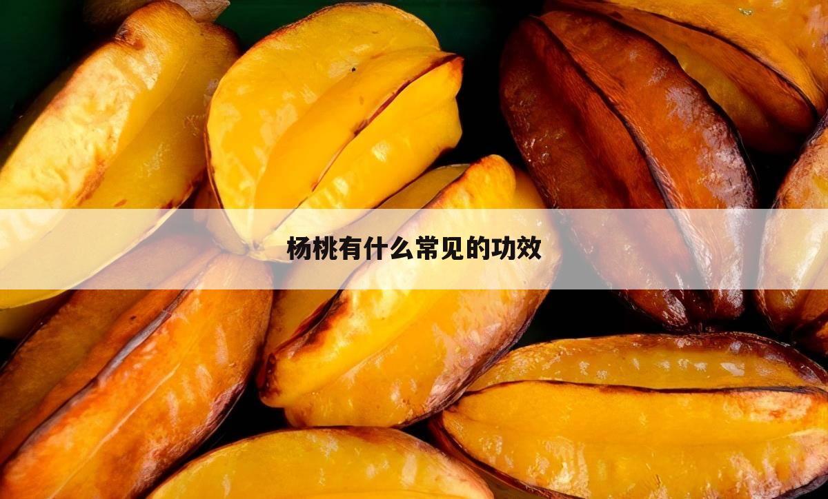 杨桃有什么常见的功效