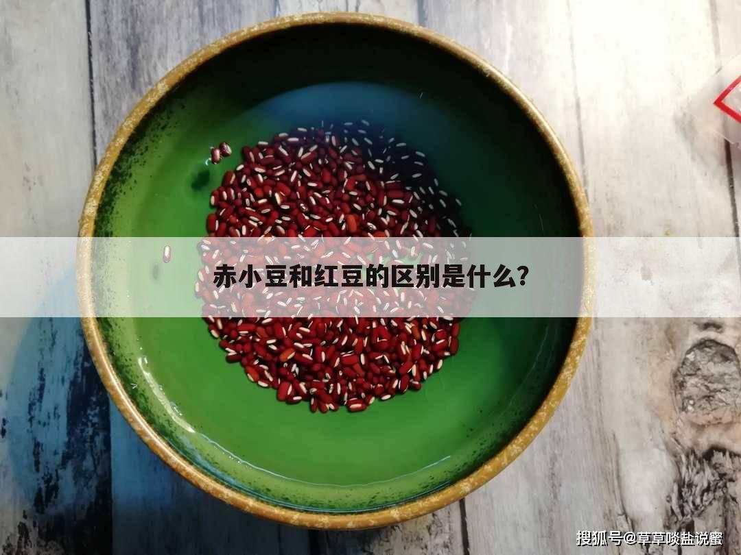 赤小豆和红豆的区别是什么？