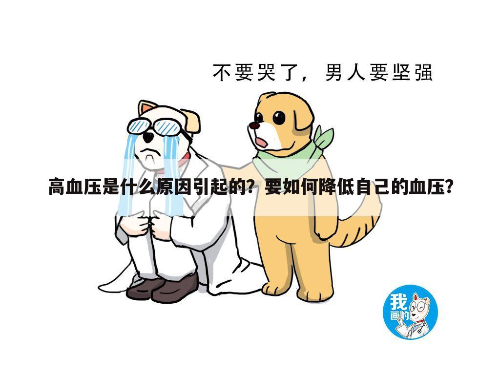 高血压是什么原因引起的？要如何降低自己的血压？