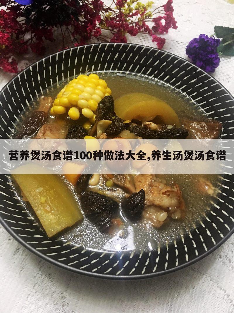 营养煲汤食谱100种做法大全,养生汤煲汤食谱