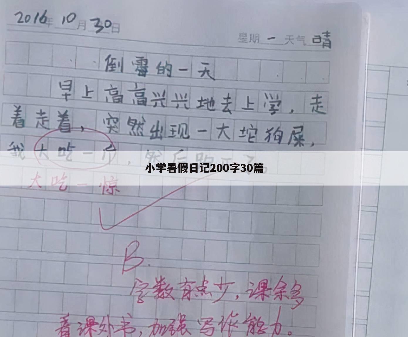 小学暑假日记200字30篇