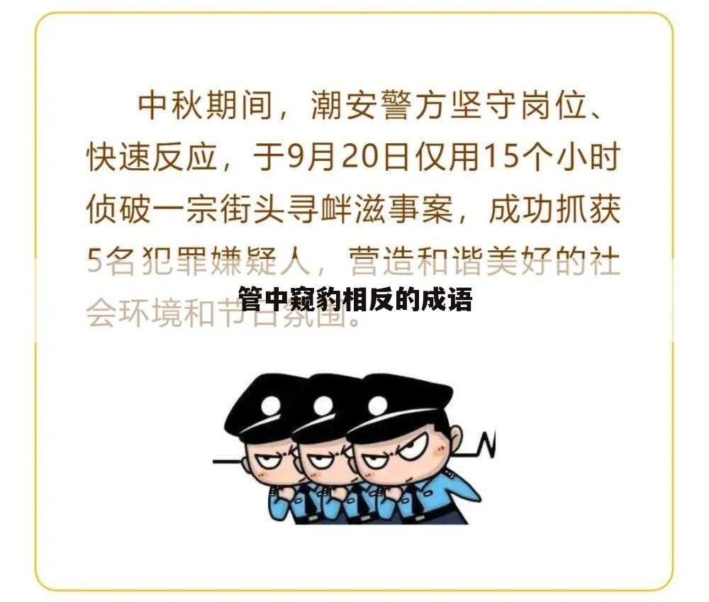 管中窥豹相反的成语