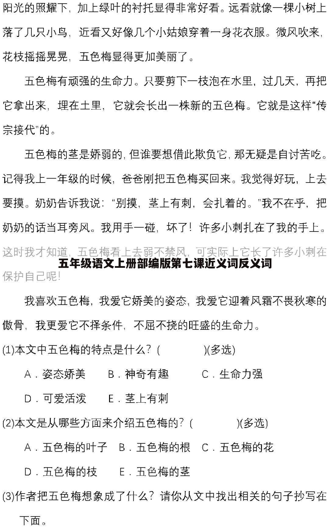 五年级语文上册部编版第七课近义词反义词