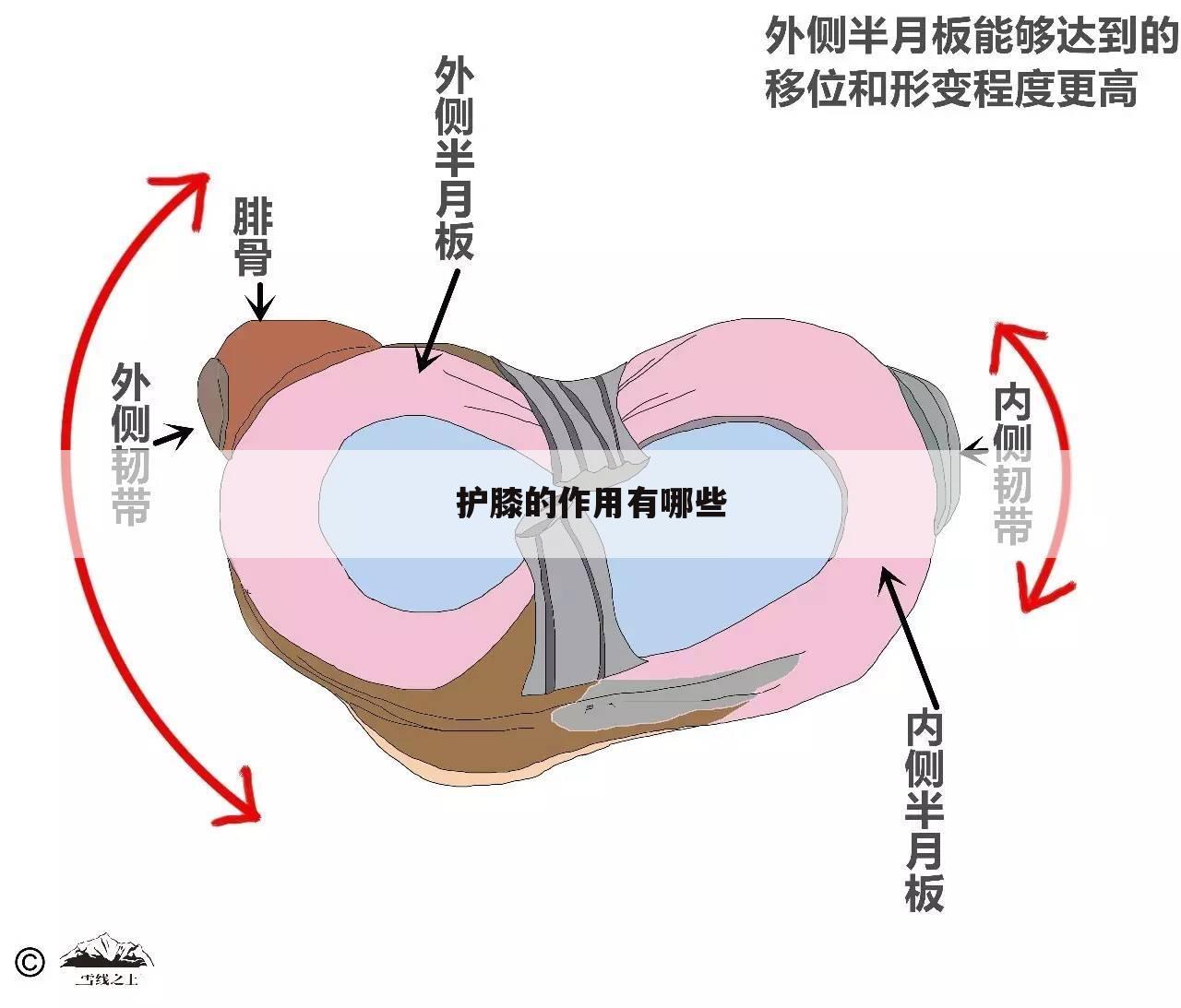 护膝的作用有哪些