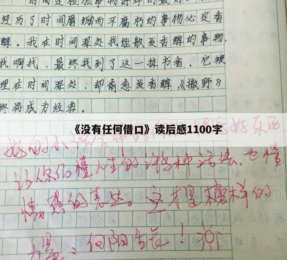 《没有任何借口》读后感1100字