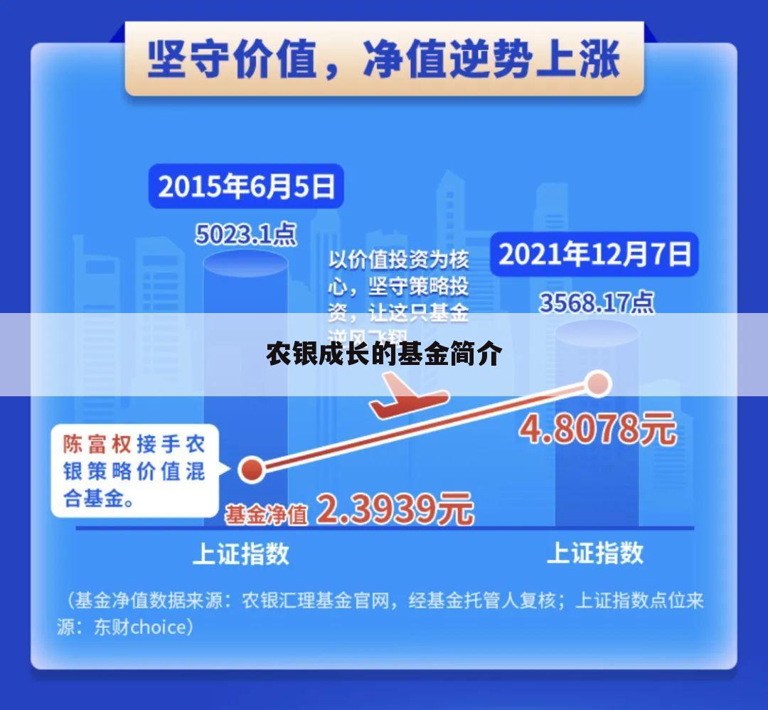 农银成长的基金简介