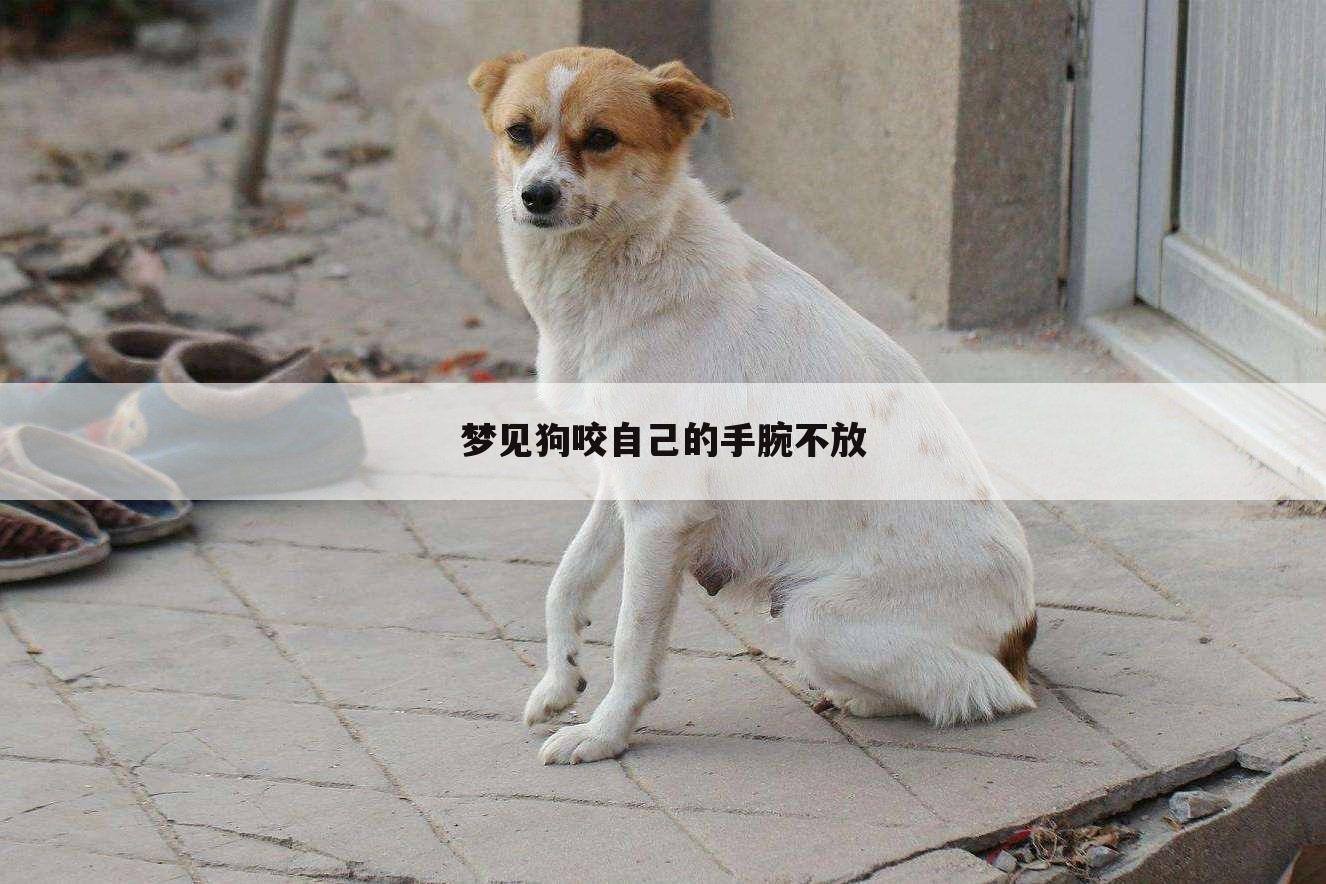 梦见狗咬自己的手腕不放