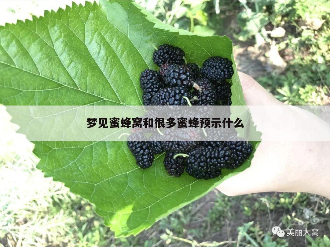 梦见蜜蜂窝和很多蜜蜂预示什么