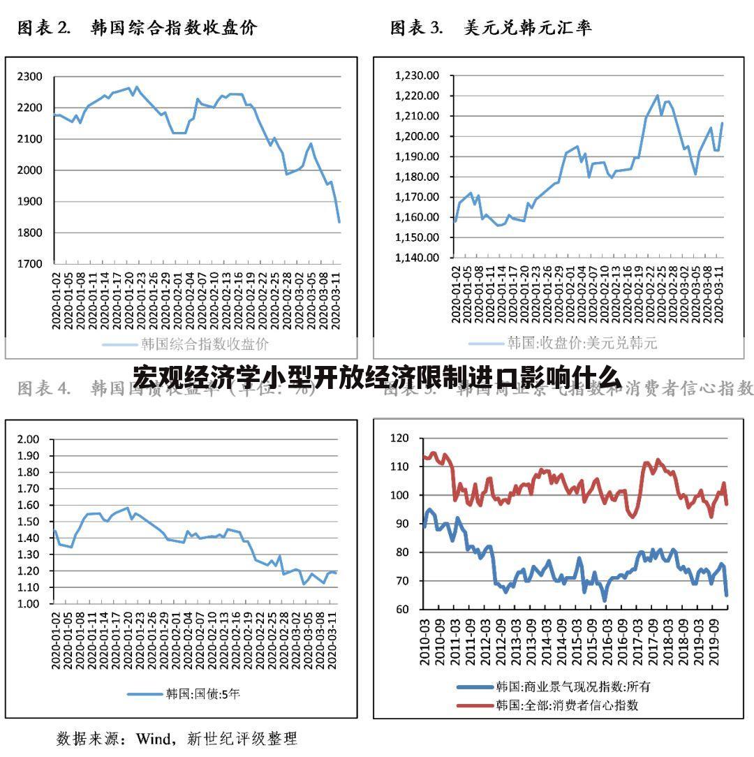 宏观经济学小型开放经济限制进口影响什么