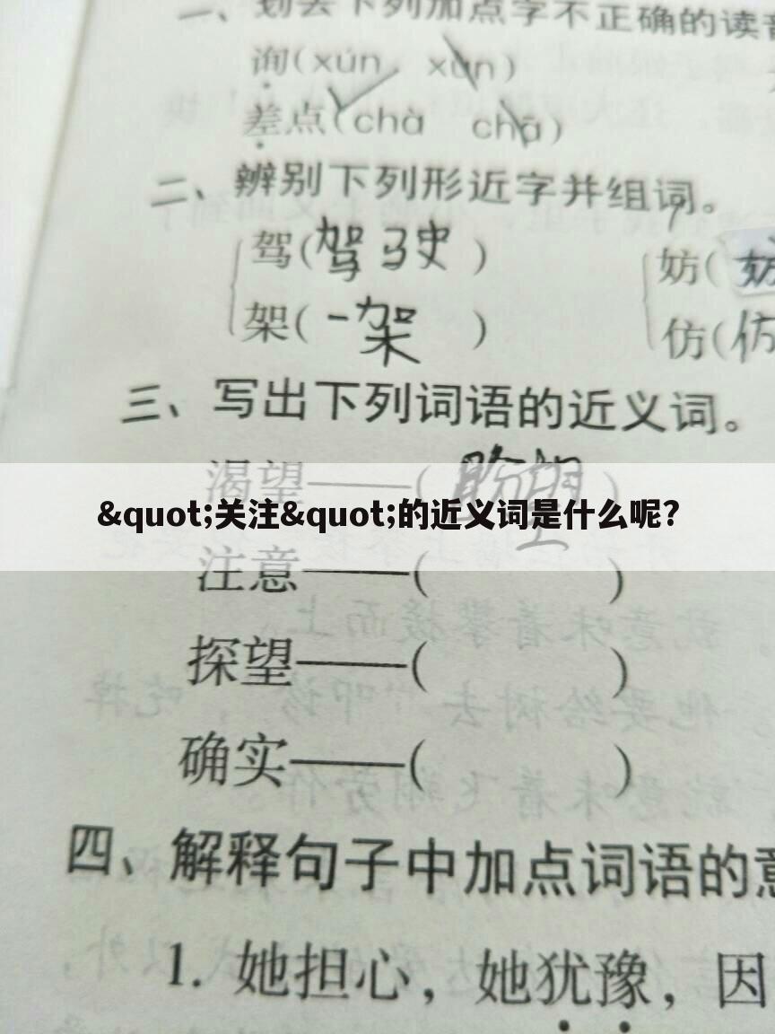 "关注"的近义词是什么呢?