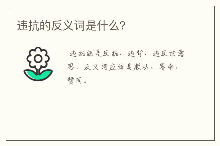 违抗的反义词是什么？