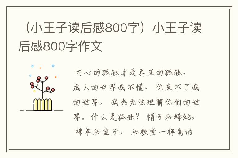 （小王子读后感800字）小王子读后感800字作文