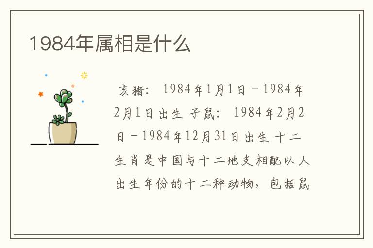 1984年属相是什么