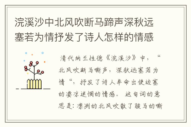 浣溪沙中北风吹断马蹄声深秋远塞若为情抒发了诗人怎样的情感？