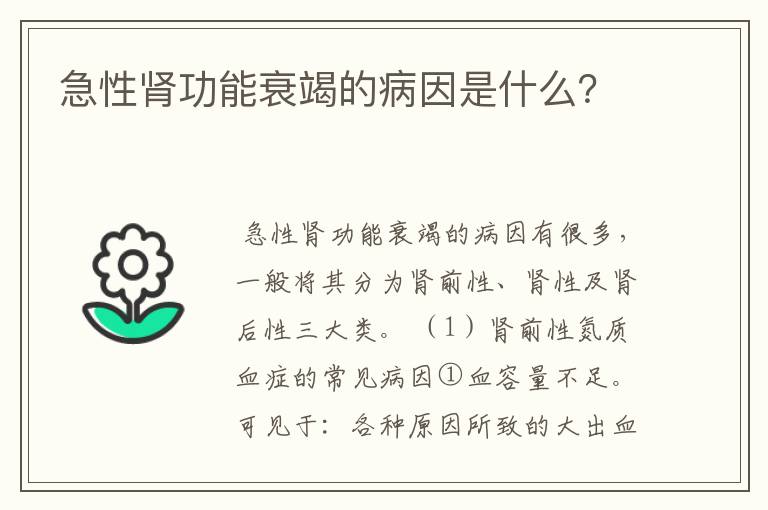 急性肾功能衰竭的病因是什么？