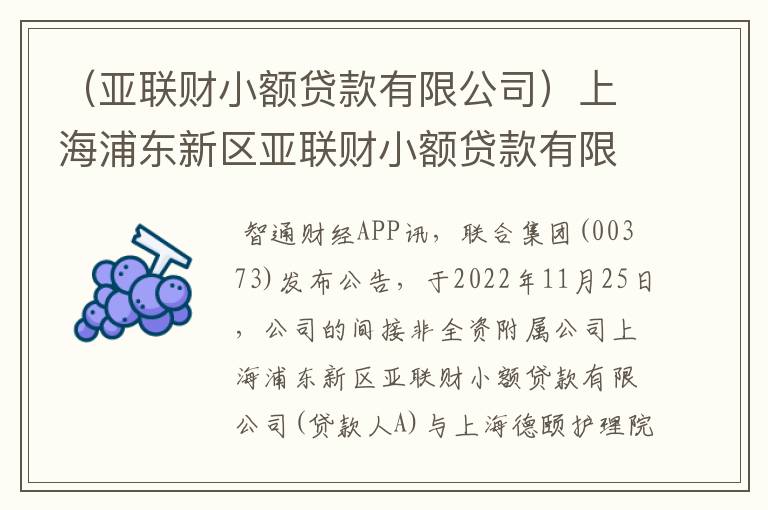 （亚联财小额贷款有限公司）上海浦东新区亚联财小额贷款有限公司