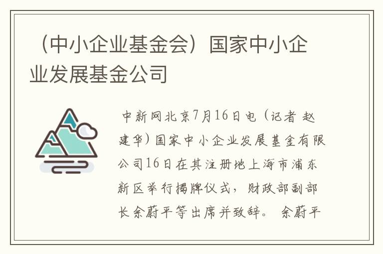 （中小企业基金会）国家中小企业发展基金公司