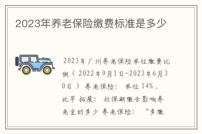 2023年养老保险缴费标准是多少