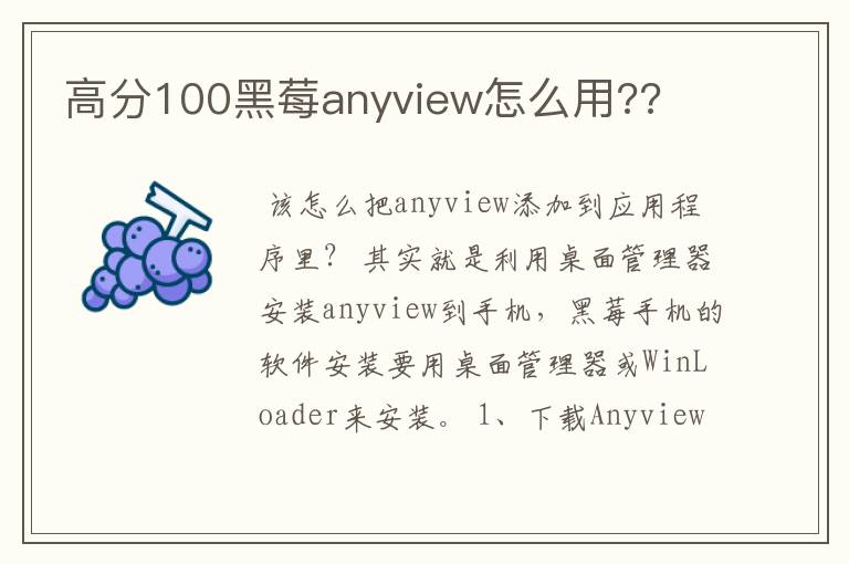 高分100黑莓anyview怎么用??