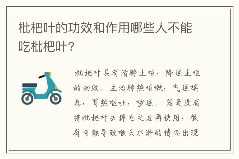 枇杷叶的功效和作用哪些人不能吃枇杷叶?