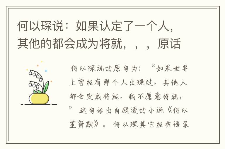 何以琛说：如果认定了一个人，其他的都会成为将就，，，原话是怎么说的