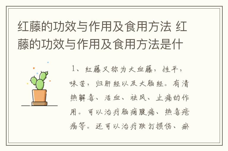 红藤的功效与作用及食用方法 红藤的功效与作用及食用方法是什么