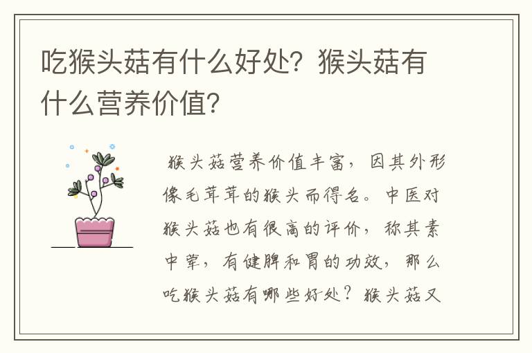 吃猴头菇有什么好处？猴头菇有什么营养价值？