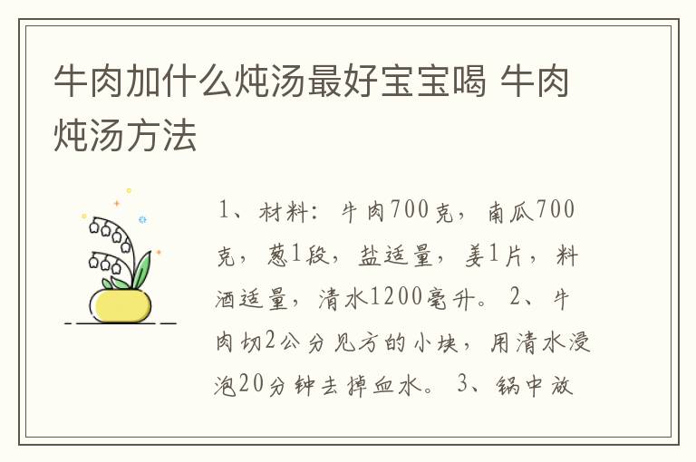 牛肉加什么炖汤最好宝宝喝 牛肉炖汤方法