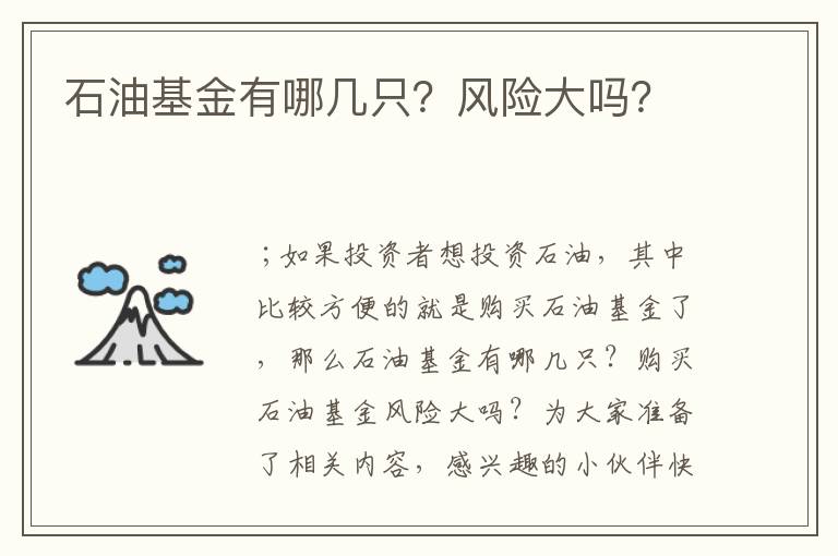 石油基金有哪几只？风险大吗？