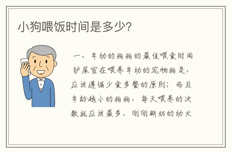 小狗喂饭时间是多少？