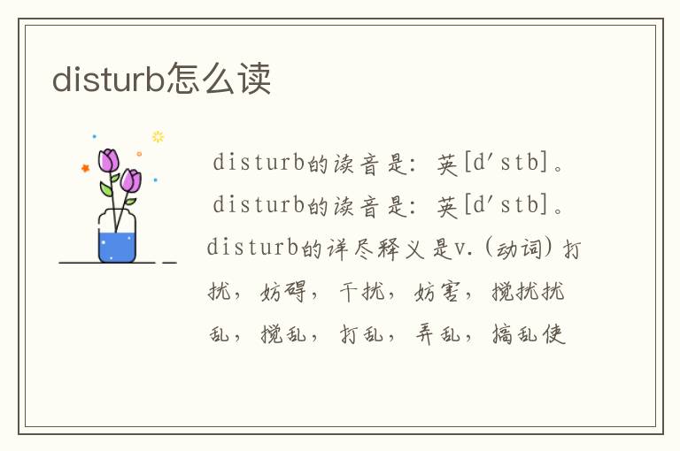 disturb怎么读