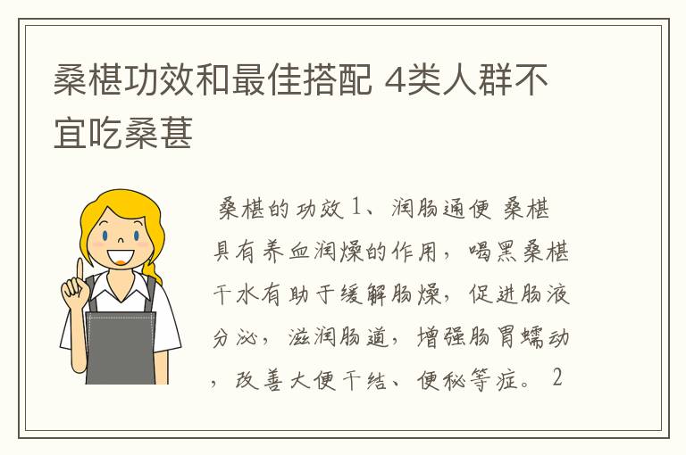 桑椹功效和最佳搭配 4类人群不宜吃桑葚