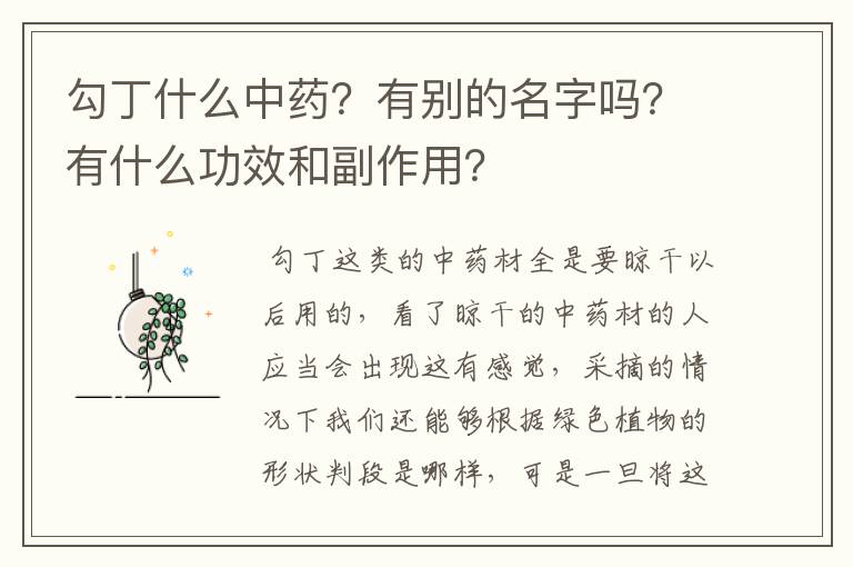 勾丁什么中药？有别的名字吗？有什么功效和副作用？