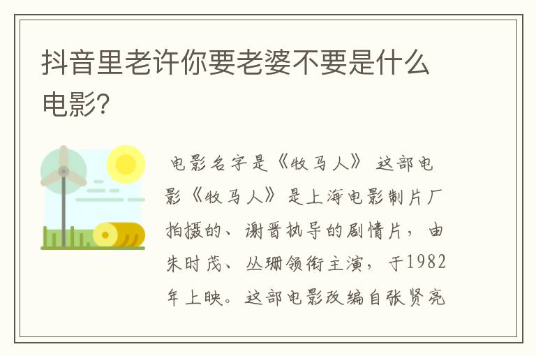 抖音里老许你要老婆不要是什么电影？