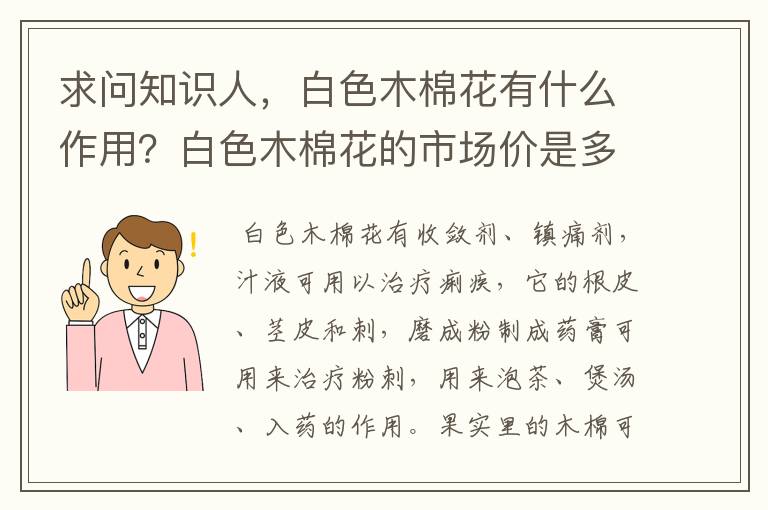 求问知识人，白色木棉花有什么作用？白色木棉花的市场价是多少？