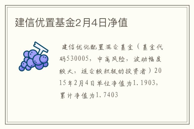 建信优置基金2月4日净值