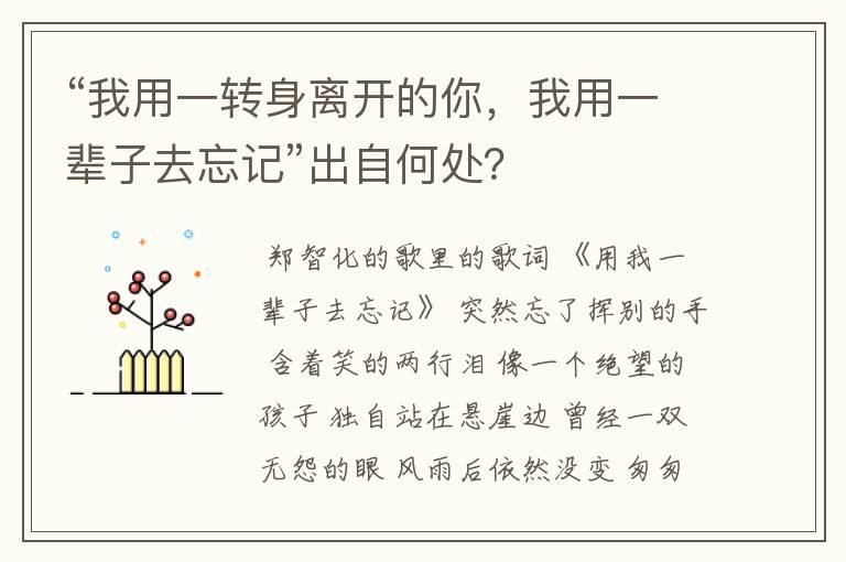 “我用一转身离开的你，我用一辈子去忘记”出自何处？