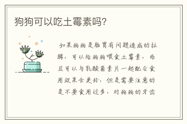 狗狗可以吃土霉素吗？