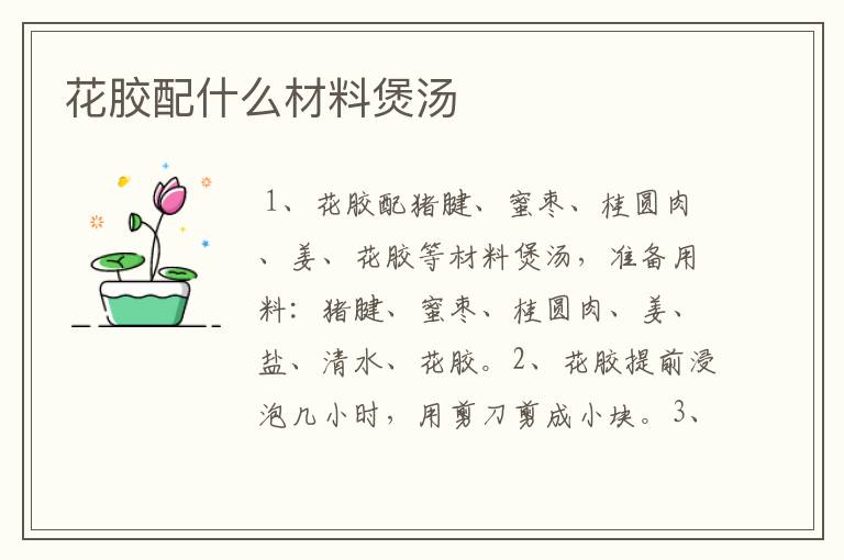 花胶配什么材料煲汤