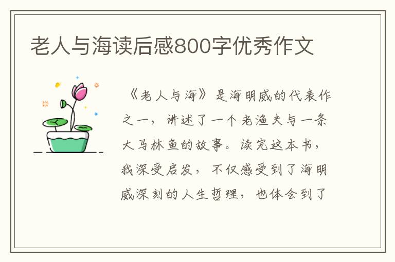 老人与海读后感800字优秀作文